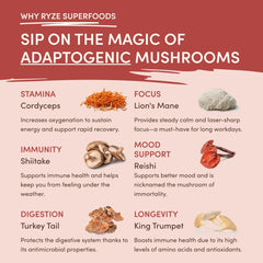Mushroom Chai (20 Servings)