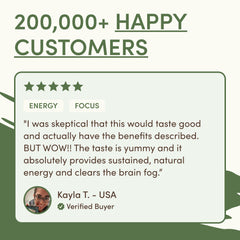 RYZE Mushroom Matcha — Organic Instant Matcha Latte with Lion's Mane & King Trumpet, 30 Servings